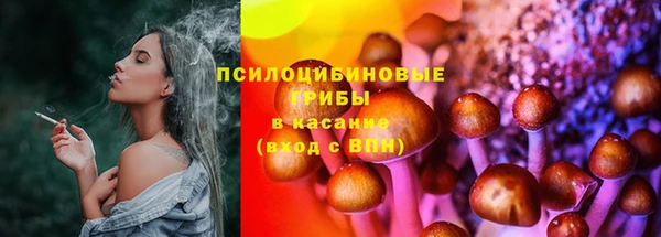 соль ск Алексеевка