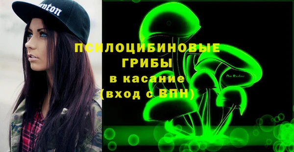 соль ск Алексеевка