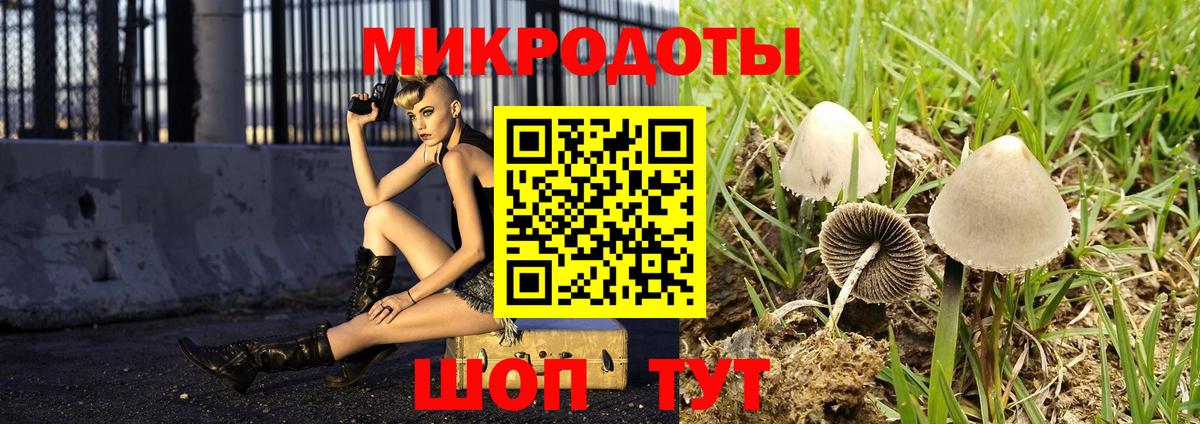 Псилоцибиновые грибы мухоморы  Вход с VPN  продажа наркотиков  Киров 